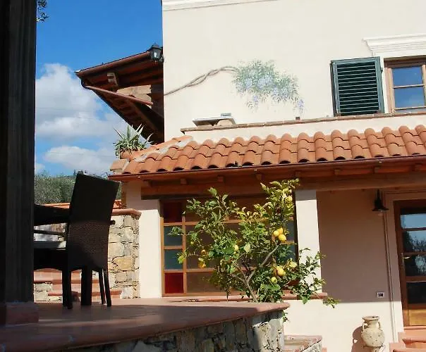 Il Riccio-casale Panoramico Con Piscina In Versilia アパート マッサローザ